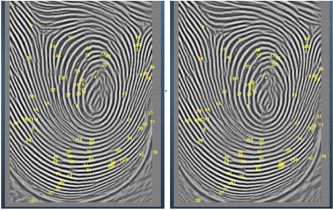 Analysis of fingerprints