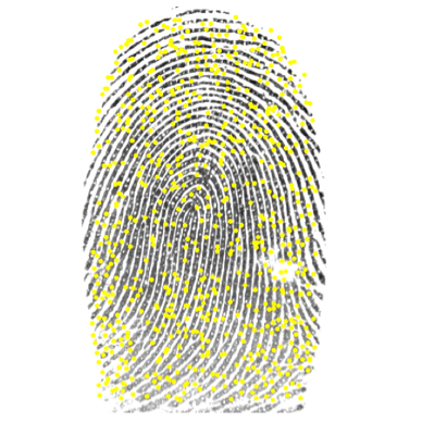 Using image processing to spot differences in fingerprints